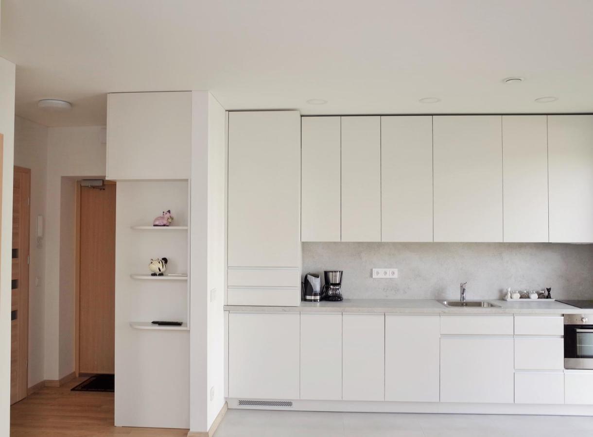 Elzbietos Centro Apartamentai VNO Exteriér fotografie